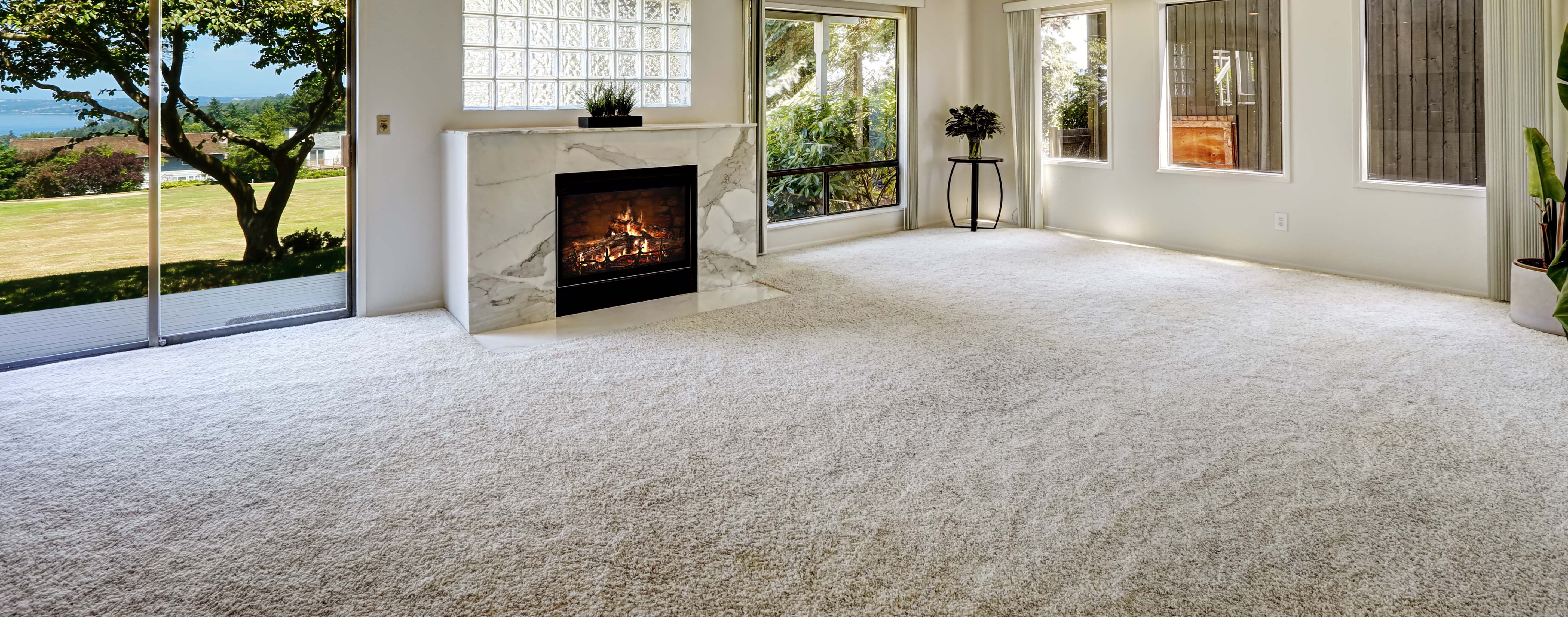 home and business carpet cleaning