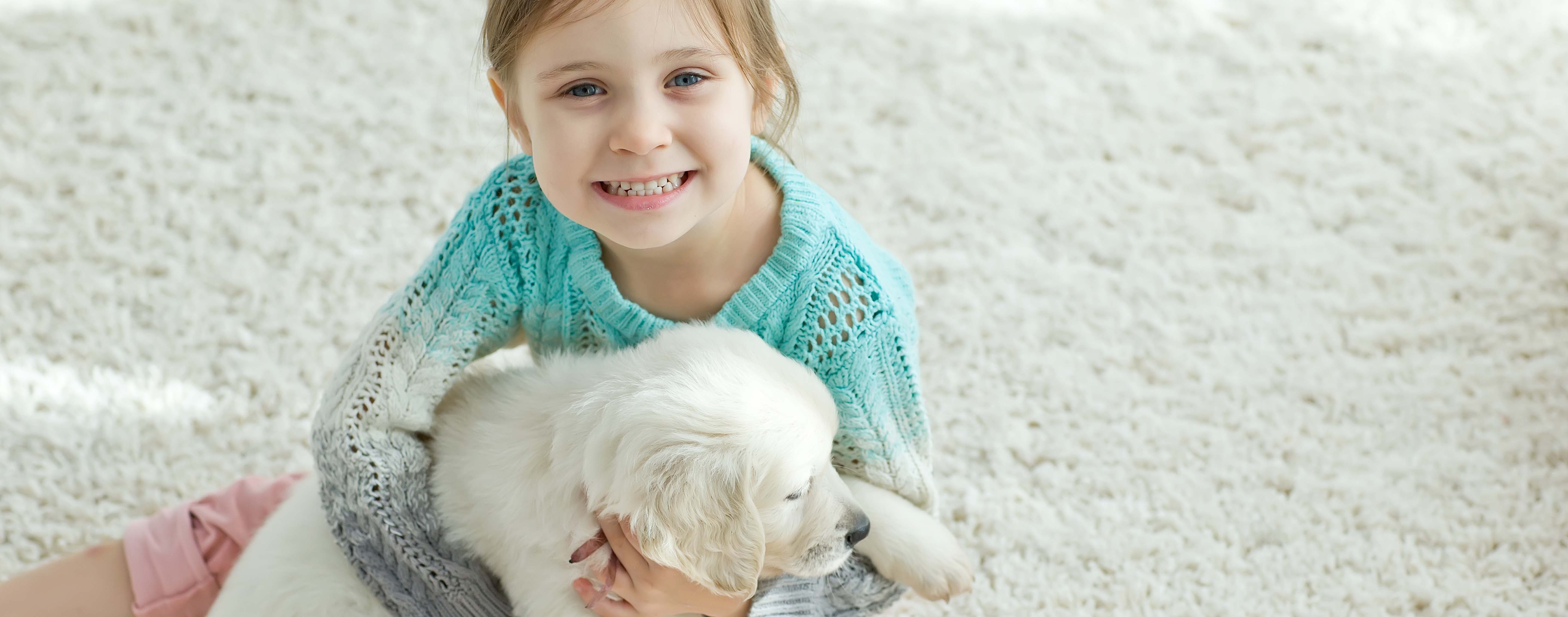 carpet cleaned, columbus area